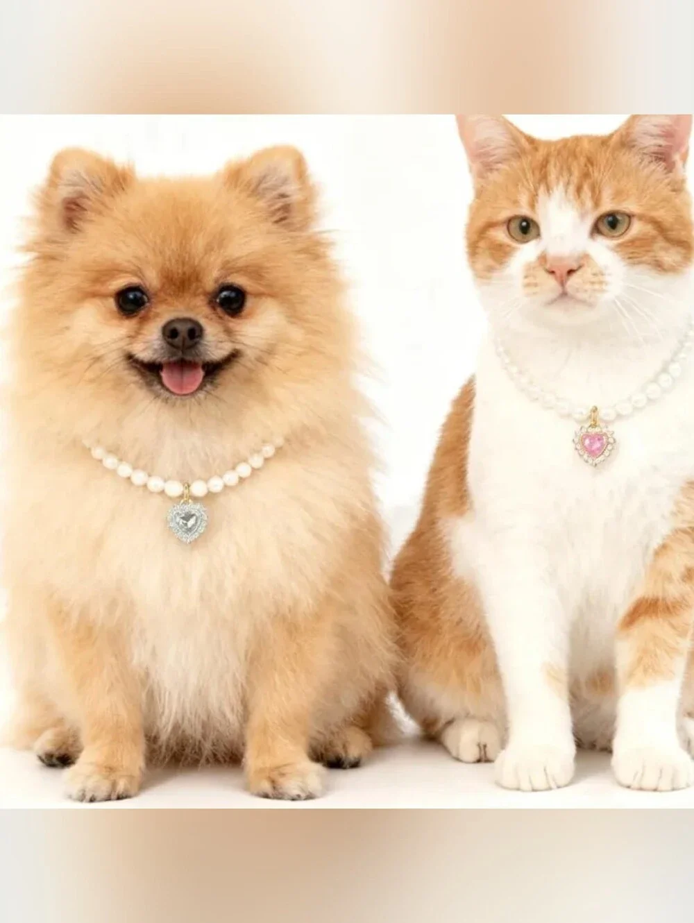 🐱Adjustable glam necklace for a 🐱🐈🐕🐕‍🦺🦮🐈